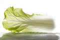 Chinese cabbage leafage