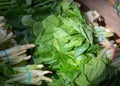 Chinese cabbage on market stall. Fresh green vegetable photo. Cabbage plant with green textured leaf