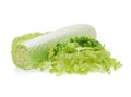 Chinese cabbage-Michilli isolated on white background Royalty Free Stock Photo