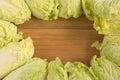 Chinese Cabbage-Michilli Royalty Free Stock Photo