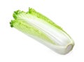 Chinese cabbage-Michilli on white background Royalty Free Stock Photo