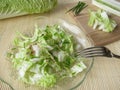 Chinese cabbage salad Royalty Free Stock Photo