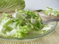 Chinese cabbage salad Royalty Free Stock Photo