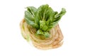 Chinese cabbage