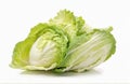 Chinese cabbage on white background Royalty Free Stock Photo