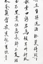 Chinese calligraphy art Royalty Free Stock Photo