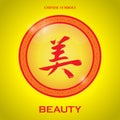 chinese calligraphy beauty. Vector illustration decorative design