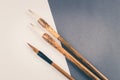 Chinese calligraphy brush for traditional writing. Top view Royalty Free Stock Photo