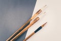 Chinese calligraphy brush for traditional writing. Top view Royalty Free Stock Photo