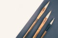 Chinese calligraphy brush for traditional writing. Top view Royalty Free Stock Photo