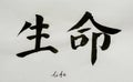 Chinese Calligraphy means`life` for Tatoo