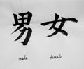 Chinese Calligraphy means`male female` for Tatoo