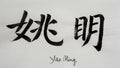 Chinese Calligraphy means`Yao Ming` for Tatoo