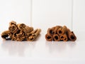 Chinese cassia and ceylon cinnamon bark sticks Royalty Free Stock Photo