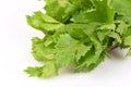 Chinese celery, Celery, Smaltage (Apium graveolens Linn.) Royalty Free Stock Photo