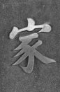 Chinese Character - HOME