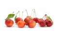 Chinese cherry apples on white background