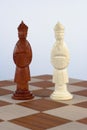 Chinese Chess Set Kings Royalty Free Stock Photo