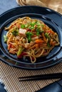 Chinese Chicken Chow Mein Royalty Free Stock Photo