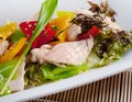 Chinese chicken salad Royalty Free Stock Photo