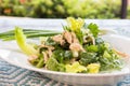 Chinese chicken salad Royalty Free Stock Photo