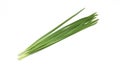 Chinese chive in a white background Royalty Free Stock Photo