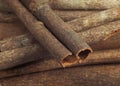 Chinese Cinnamon or Cassia Cinnamon, cinnamomum aromaticum Royalty Free Stock Photo