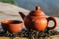 Chinese clay teapot and teacup with dry tea leaf Royalty Free Stock Photo