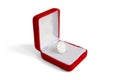 Chinese Coin in a Box Royalty Free Stock Photo