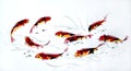 Chinese colorful painting Good luck goldfish,Carp, crucian,