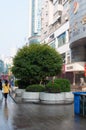 Chinese Commercial pedestrian street