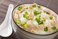 Chinese cooking, congee jook boiling rice with a lot of water over low heat with the addition of chicken, peanuts and green onions Royalty Free Stock Photo