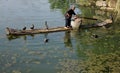 Chinese cormorant fisherman