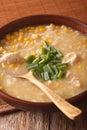 Chinese corn and chicken soup in a bowl close-up. Vertical Royalty Free Stock Photo