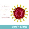 Chinese coronavirus construction