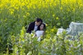 Chinese couple wedding portraint in cole flower field Royalty Free Stock Photo