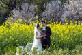 Chinese couple wedding portraint in cole flower field Royalty Free Stock Photo