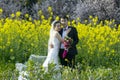 Chinese couple wedding portraint in cole flower field Royalty Free Stock Photo