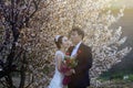 Chinese couple wedding portraint in front of cherry blossoms Royalty Free Stock Photo