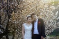 Chinese couple wedding portraint in front of cherry blossoms Royalty Free Stock Photo