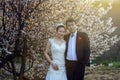 Chinese couple wedding portraint in front of cherry blossoms Royalty Free Stock Photo