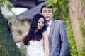 Chinese couple wedding portraint in front of Old trees and old building Royalty Free Stock Photo