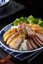 Chinese Cuisine, chicken, pork barbecued, chicken Rice Royalty Free Stock Photo