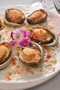 Abalone Awabi seafood Royalty Free Stock Photo