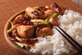 Chinese Cuisine: kung pao chicken and rice close-up. horizontal Royalty Free Stock Photo