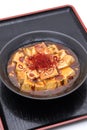 Chinese cuisine mapo doufu in a dish