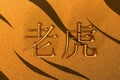 Chinese 3D characters cast in gold, representing the word Tiger, against the background of a tiger skin Royalty Free Stock Photo