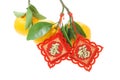 Chinese decorative ornament and mandarin oranges Royalty Free Stock Photo