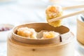 Chinese dim sum Shumai Royalty Free Stock Photo