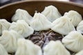 Chinese dim sum xiaolongbao from Shanghai Royalty Free Stock Photo